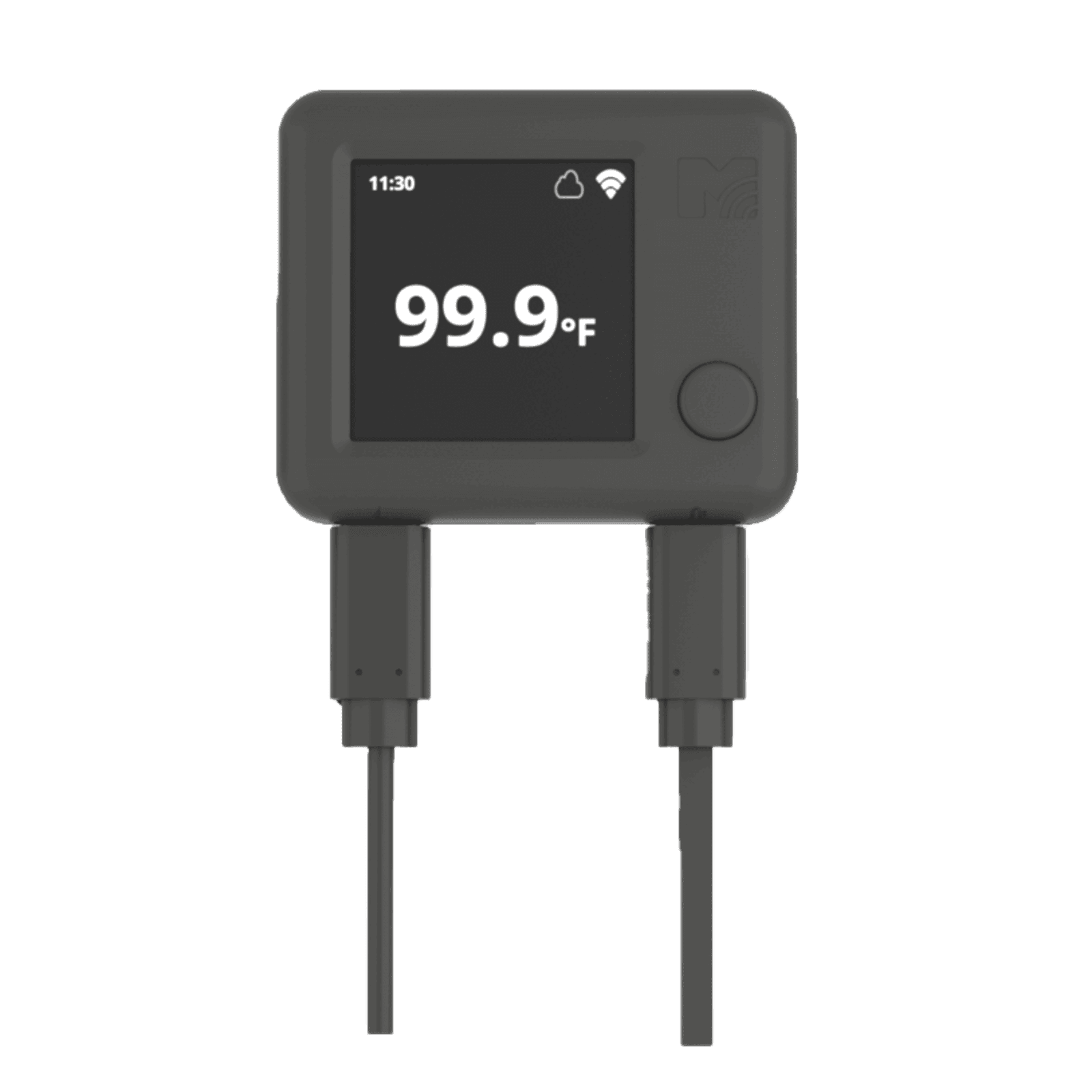 NS1