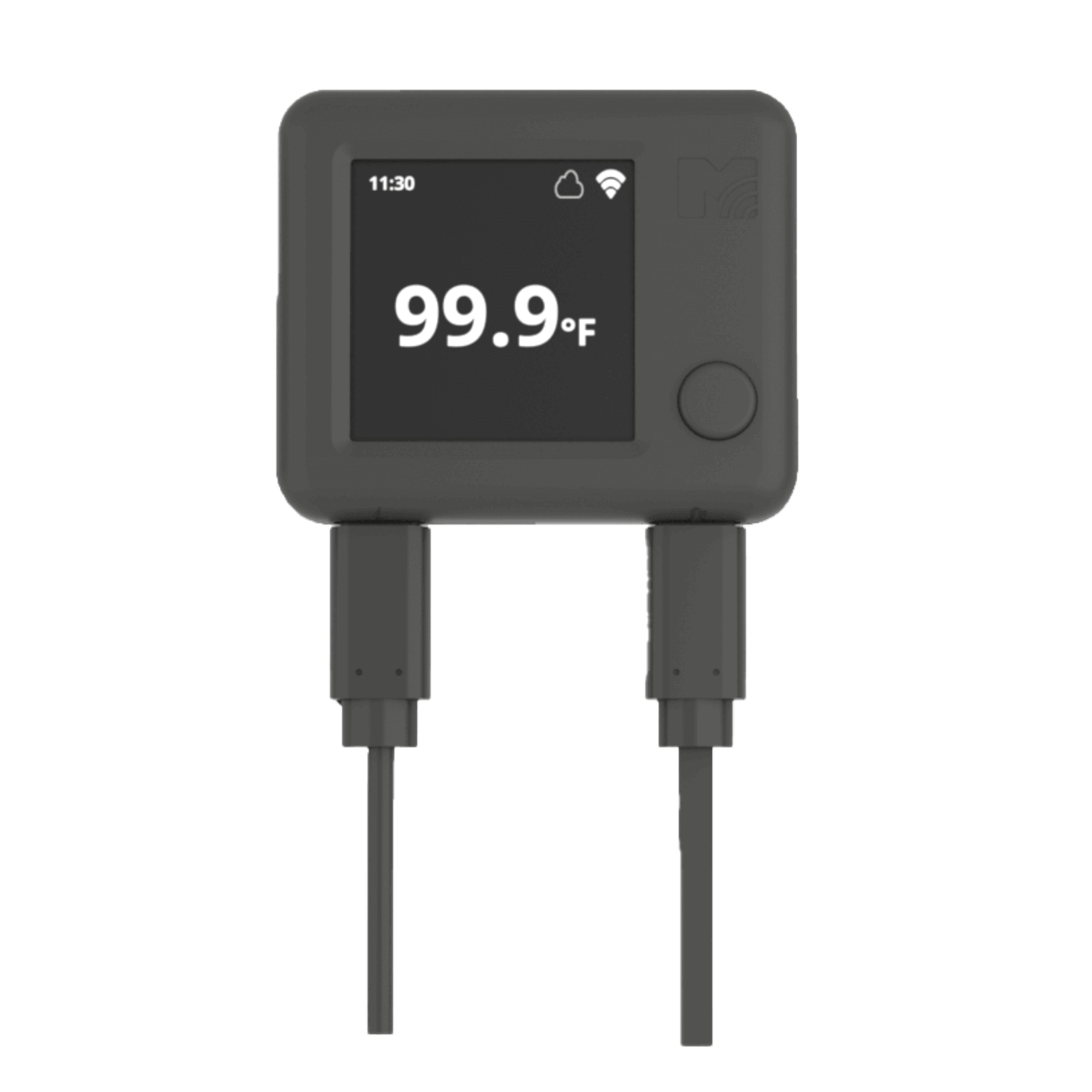 NS1